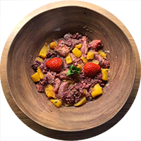 Ernährungsberatung für Hunde, inidividuelle Ernährungspläne für Hunde